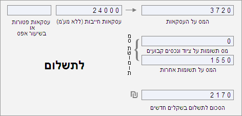 הנהלת חשבונות - דוח מע'מ