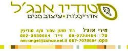 כרטיס עסק: סטודיו אנג'ל- מירי אנג'ל