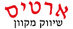 כרטיס עסק: ארטיס שיווק מקוון בע"מ