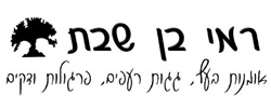 כרטיס עסק: רמי בן שבת אומנות בעץ , גגות רעפים , פרגולות ודקים