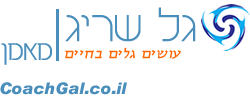 כרטיס עסק: גל שריג