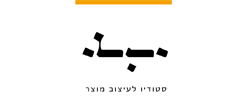 כרטיס עסק: שאול מועלם