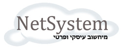 כרטיס עסק: NetSystem