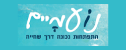 כרטיס עסק: נועמיים