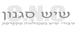 כרטיס עסק: שיש סגנון